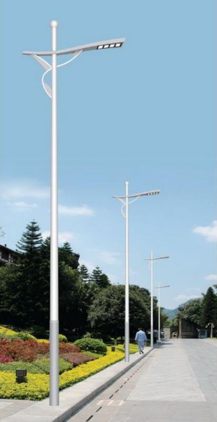 07504.jpg