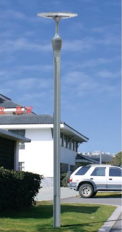 25305.jpg