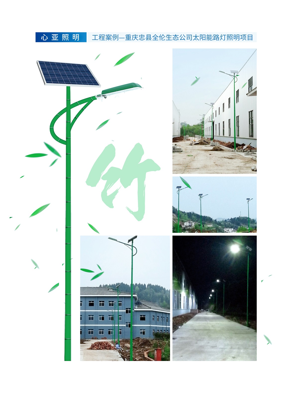 重庆忠县全伦生态公司太阳能路灯 海螺臂天焱灯.jpg